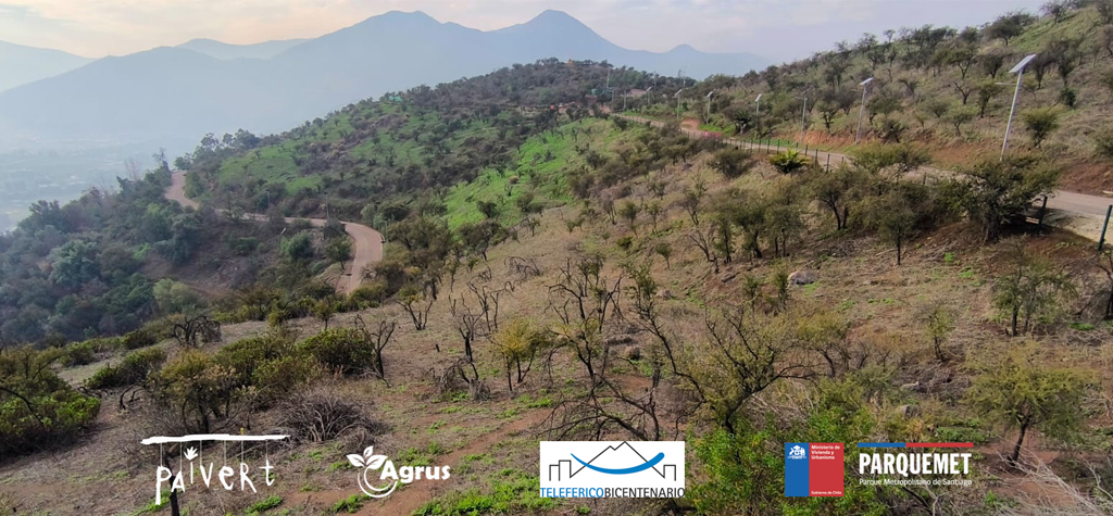 Riego Paivert Cerro San Cristóbal